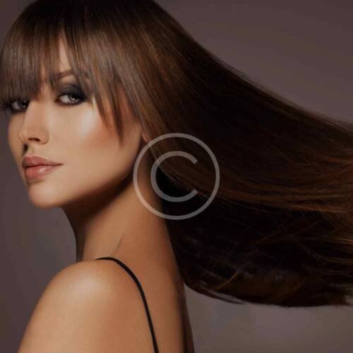 Hairstyling - Up Styles